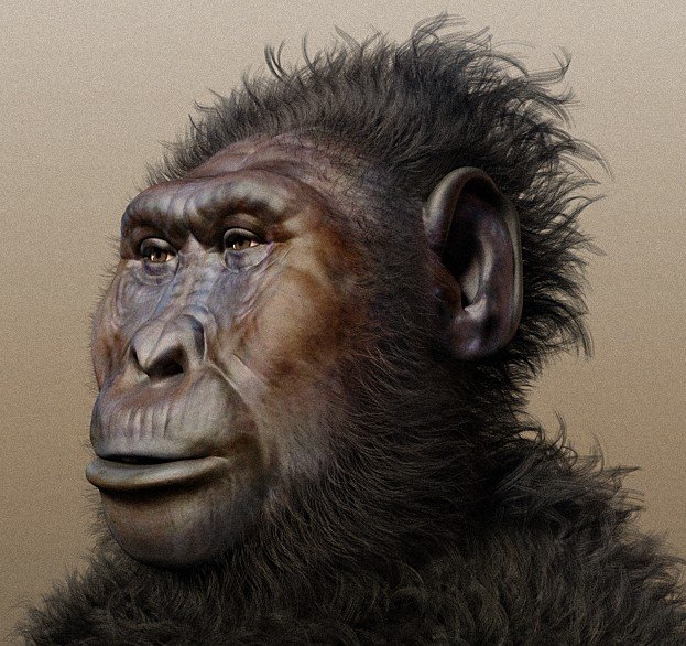 Paranthropus