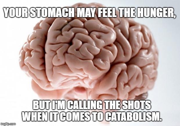 Your stomach may feel the hunger meeme