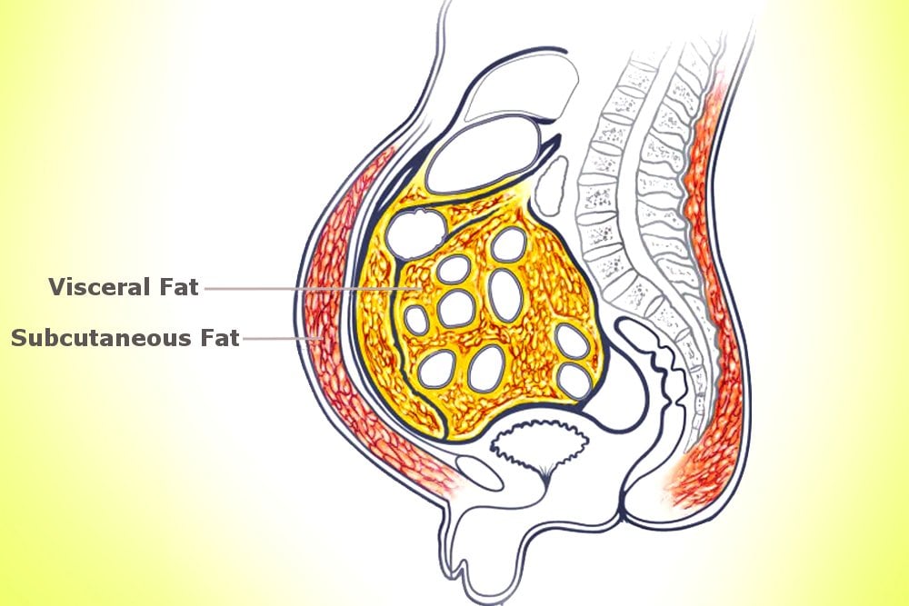 fat diagram