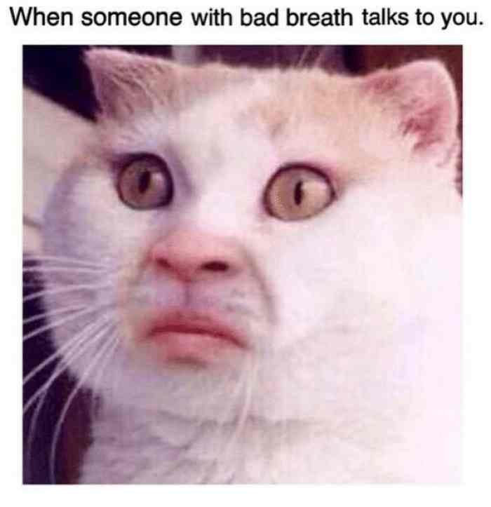 when-someone-with-bad-breath-talks-to-you