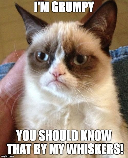 I'M GRUMPY; YOU SHOULD KNOW THAT BY MY WHISKERS meme