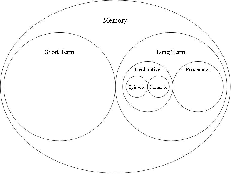 Schematic_memory