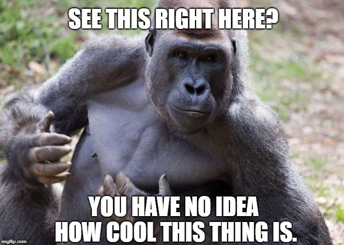 See this right here gorilla meme