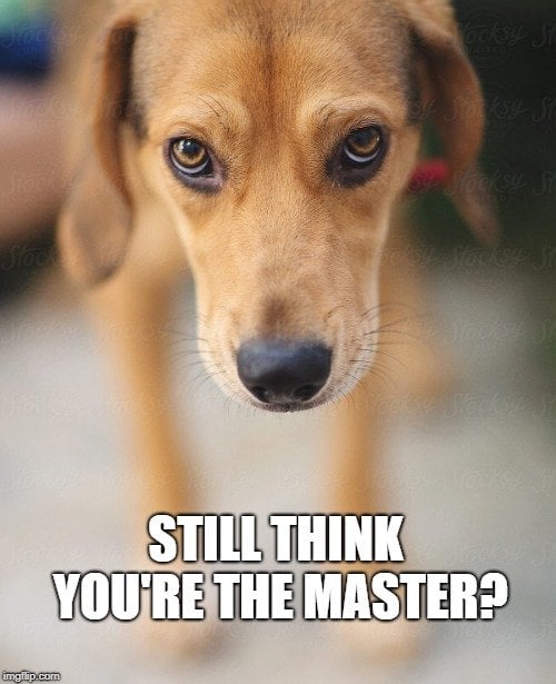 Still think you're the master meme