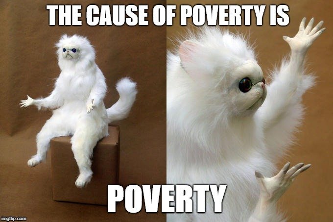 THE CAUSE OF POVERTY IS; POVERTY meme