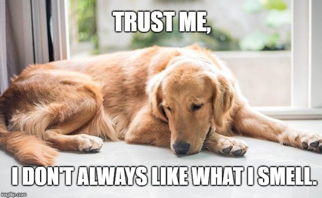 Trust me meme