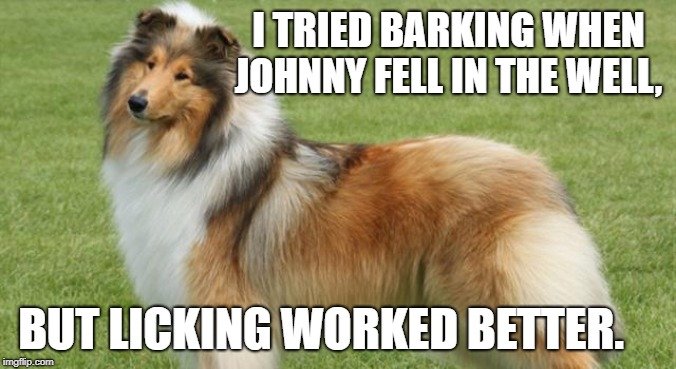 but licking worked better. meme
