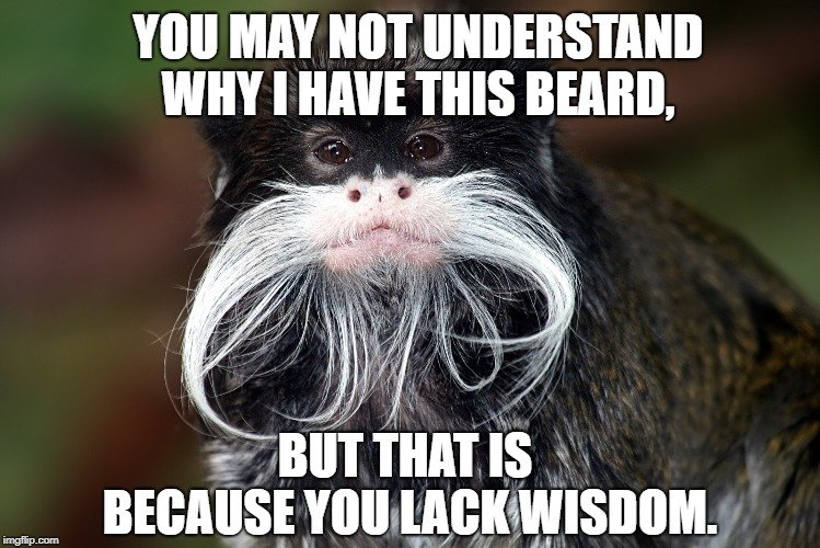 but that is because you lack wisdom meme