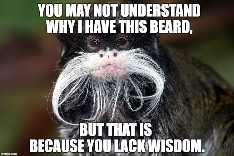 but that is because you lack wisdom meme