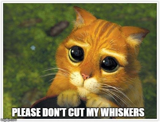dont cut my whisker meme