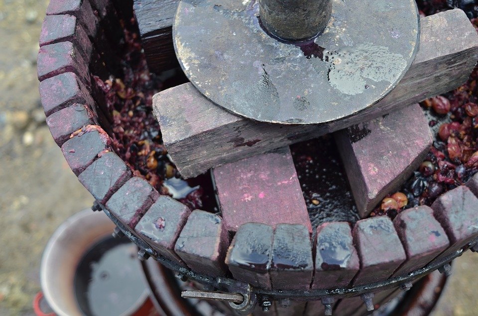 grape pressing