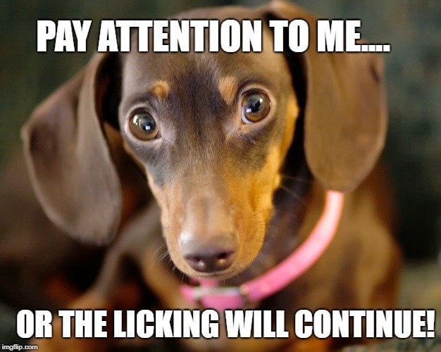 or the licking will continue meme