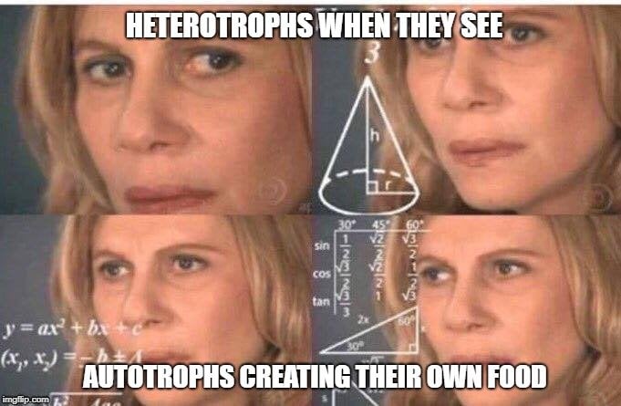 HETEROTROPHS WHEN THEY SEE; AUTOTROPHS CREATING THEIR OWN FOOD meme