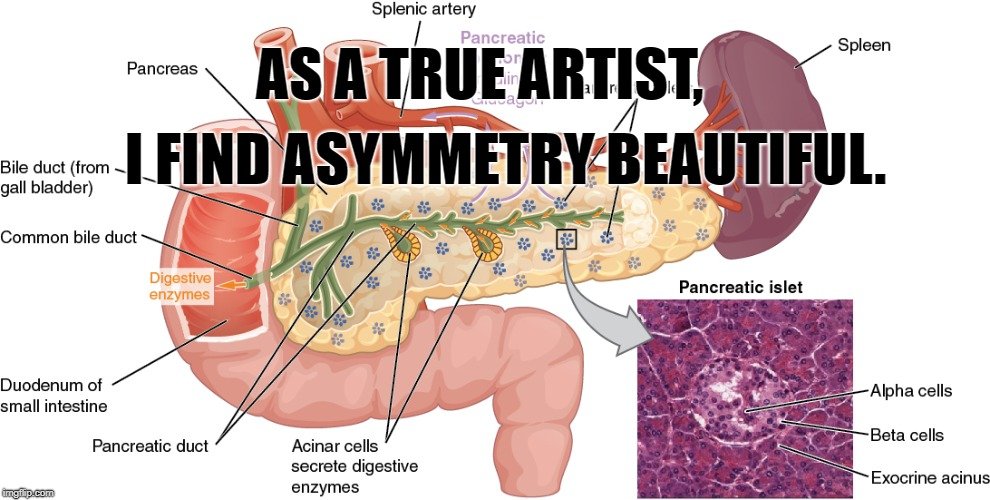 I find asymmetry beautiful meme