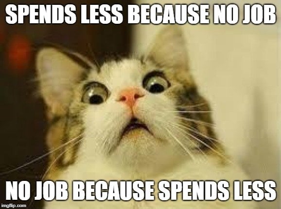 SPENDS LESS BECAUSE NO JOB; NO JOB BECAUSE SPENDS LESS meme