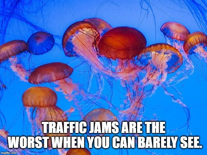 Traffic jams are the worst when you can barely see meme