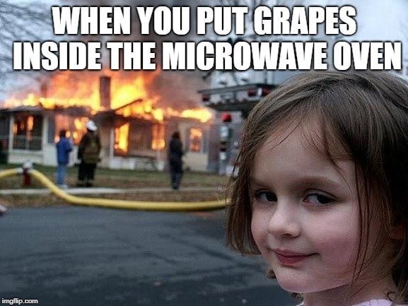 WHEN YOU PUT GRAPES INSIDE THE MICROWAVE OVEN meme