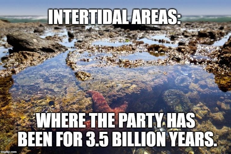 Where the Party Has Been for 3.5 billion years. meme.