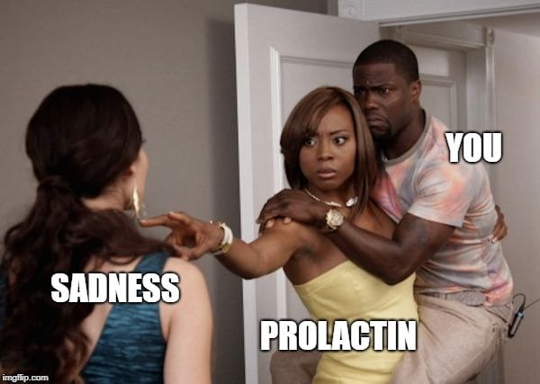 YOU; SADNESS; PROLACTIN meme