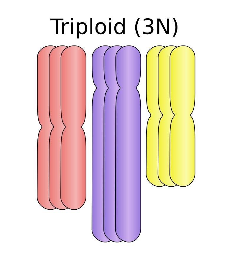 triplod