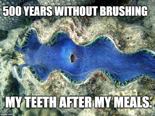 500 years without brushing meme