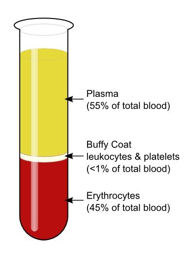 Blood-centrifugation-scheme