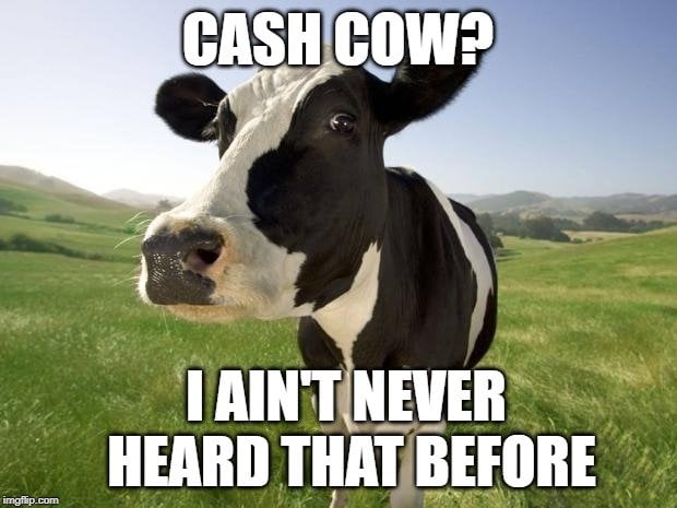 CASH COW I AIN'T NEVER HEARD THAT BEFORE meme