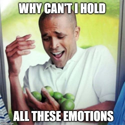 WHY CAN'T I HOLD; ALL THESE EMOTIONS meme