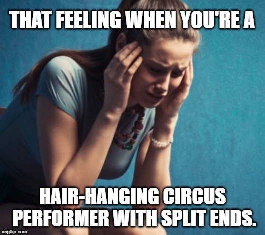 hair-hanging circus performer with split ends meme