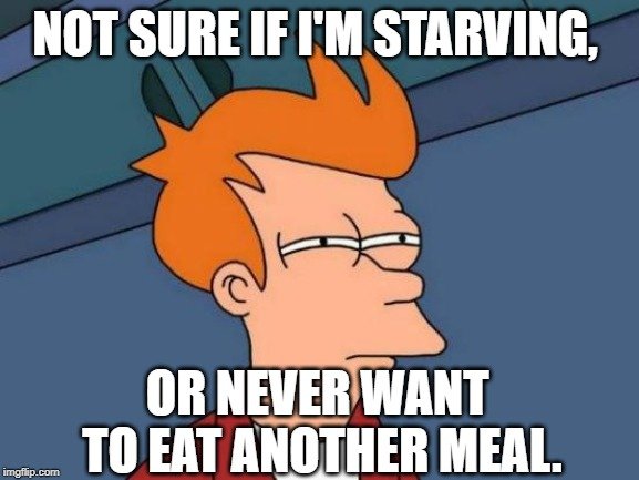 or never want to eat another meal meme