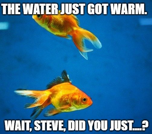 The water just got warm meme