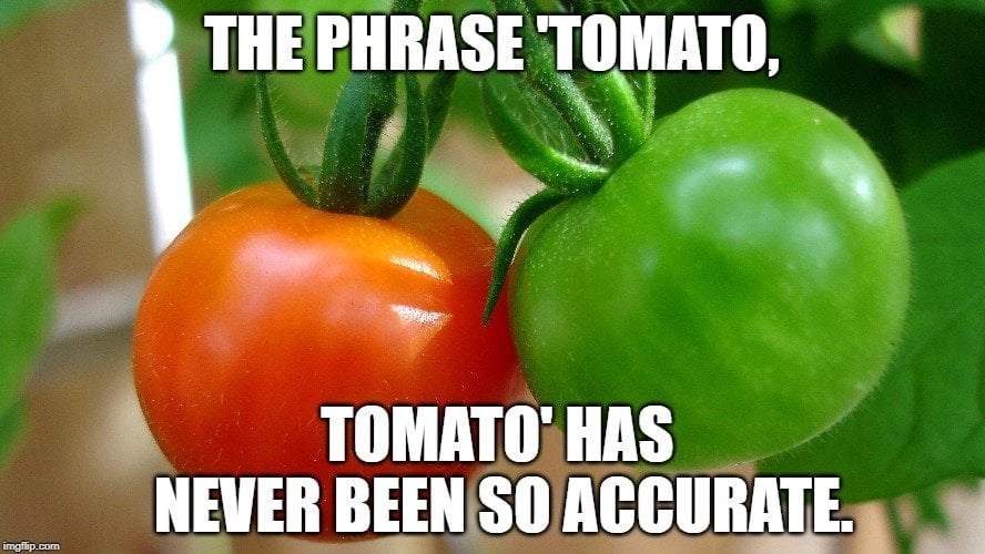 Tomato' has never been so accurate meme
