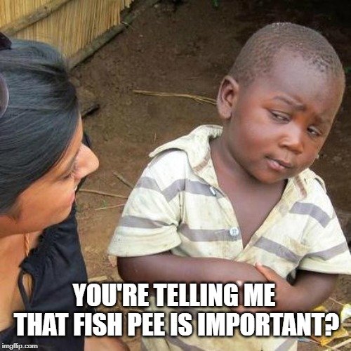 You're telling me that fish pee is important meme