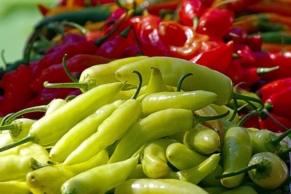 Farm fresh peppers