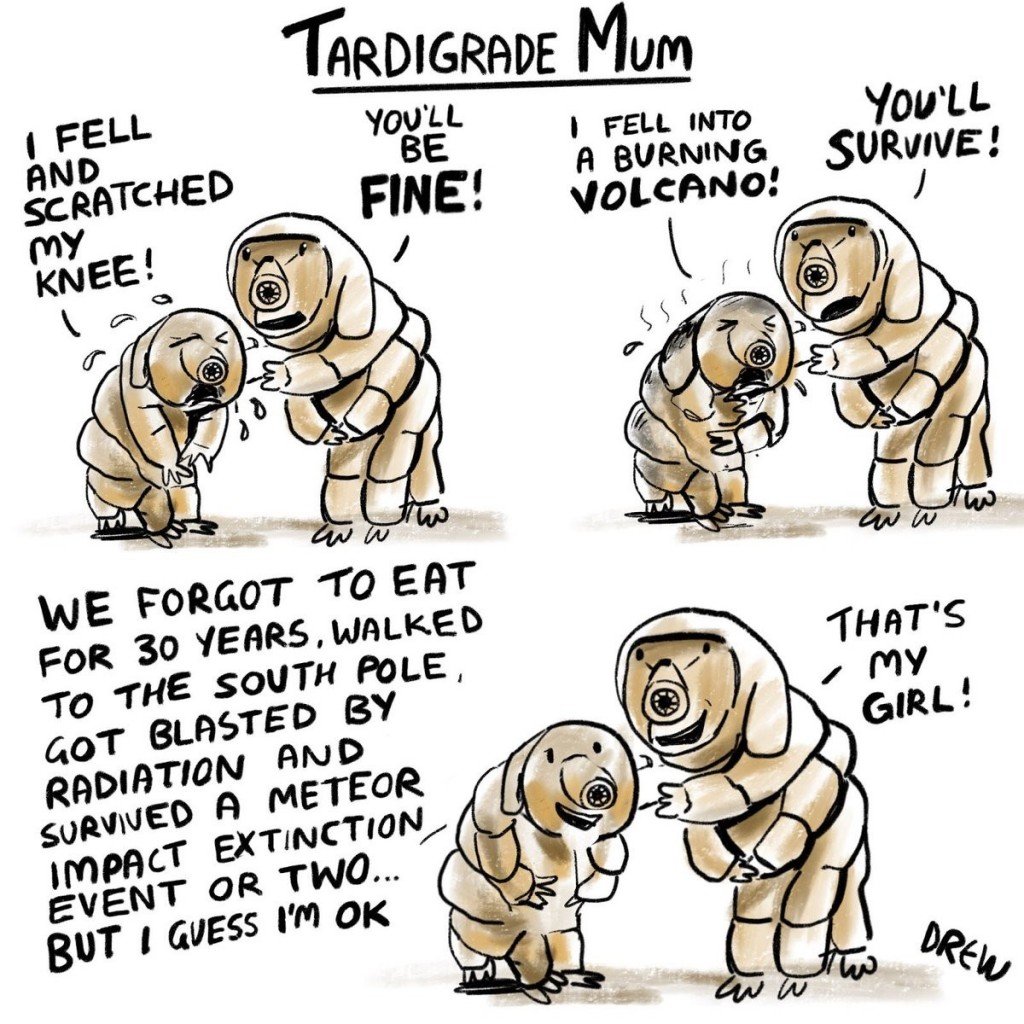 tardigrade meme