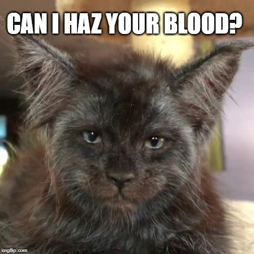 Can I Haz Your Blood meme