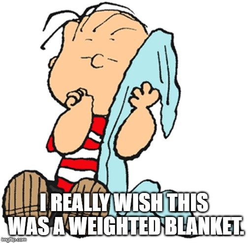 I really wish this was a weighted blanket meme