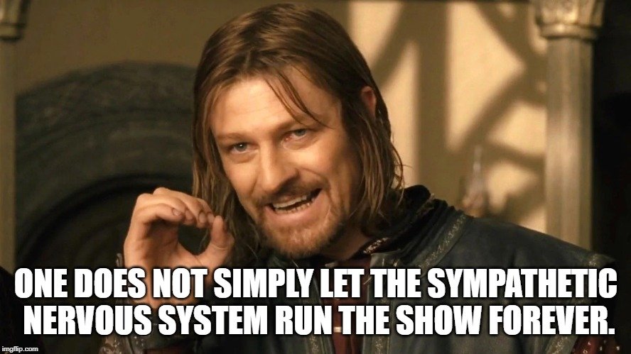 One does not simply let the sympathetic nervous system run the show forever meme