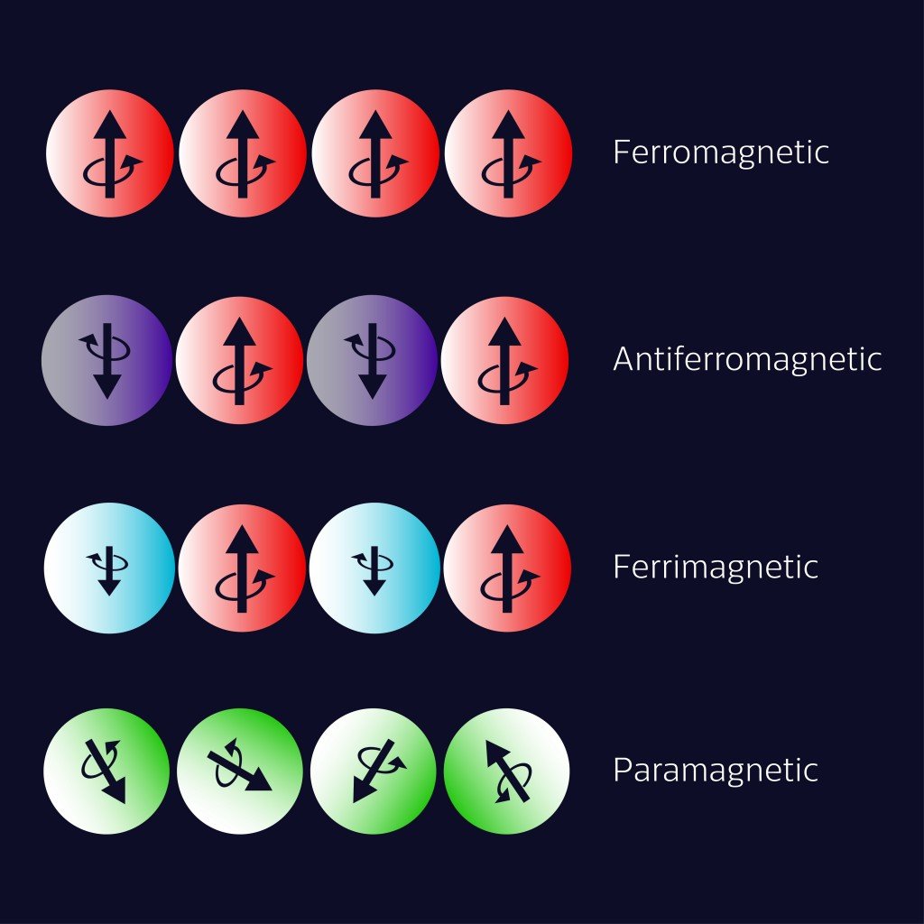 Types of magnetism diagram. Ferromagnetism, Antiferromagnetism, Ferrimagnetism, Paramagnetism. Vector illustration. - Vector( Inna Bigun)s