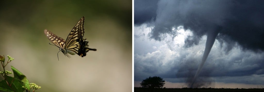 borboleta e tornado