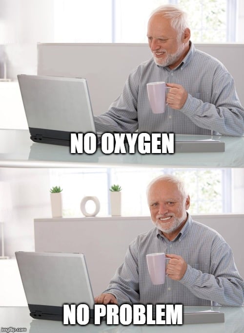 no oxygen no problem meme