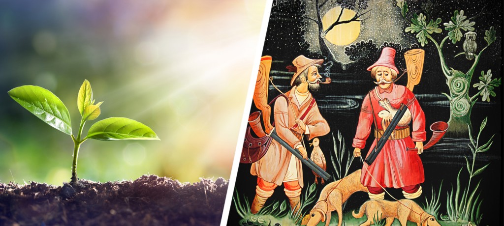 plantas e animais