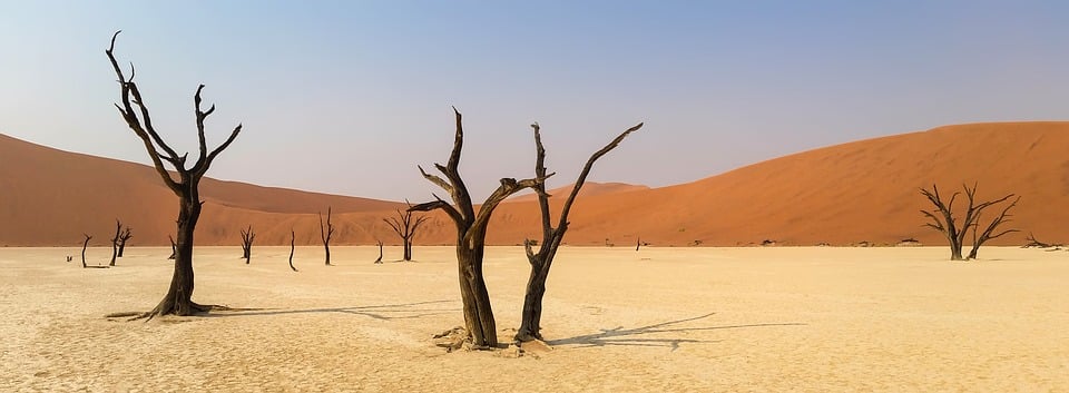 africa
