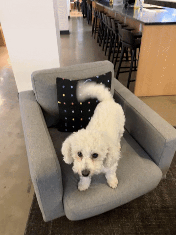 Download Animated Gif Dog Wag Gif Png Gif Base The best gifs are on giphy. download animated gif dog wag gif png