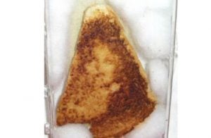 sandwich virgin mary sold on ebay