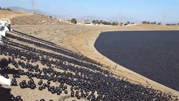 Shade balls being dumped in the LA reservoir