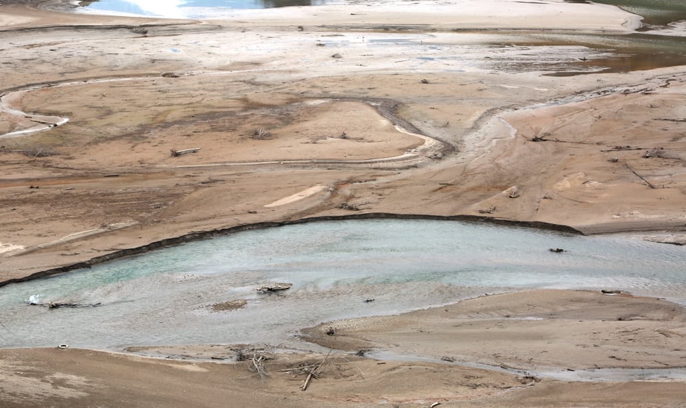 swamp with few water and many quicksand - Image(ChiccoDodiFC)s