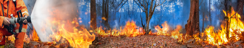 Amazon rain forest fire disaster is burning at a rate scientists have never seen before. - Image(Toa55)s