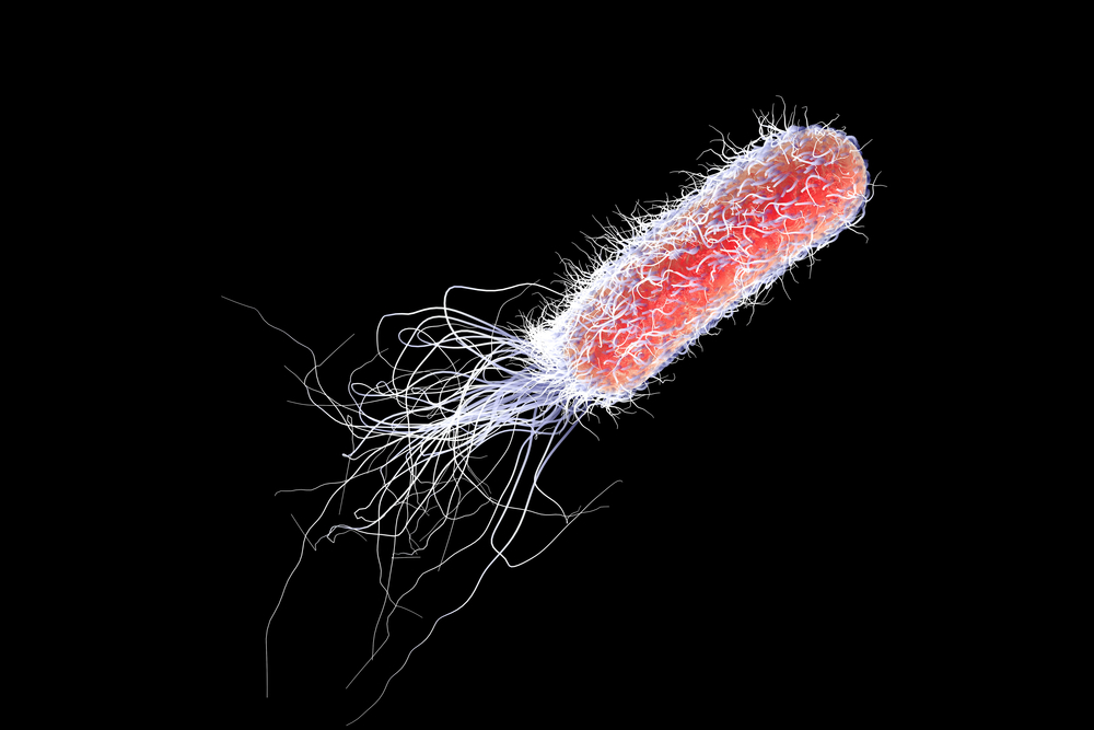 Bacterium Pseudomonas aeruginosa isolated on black background, antibiotic-resistant nosocomial m(Kateryna Kon)s