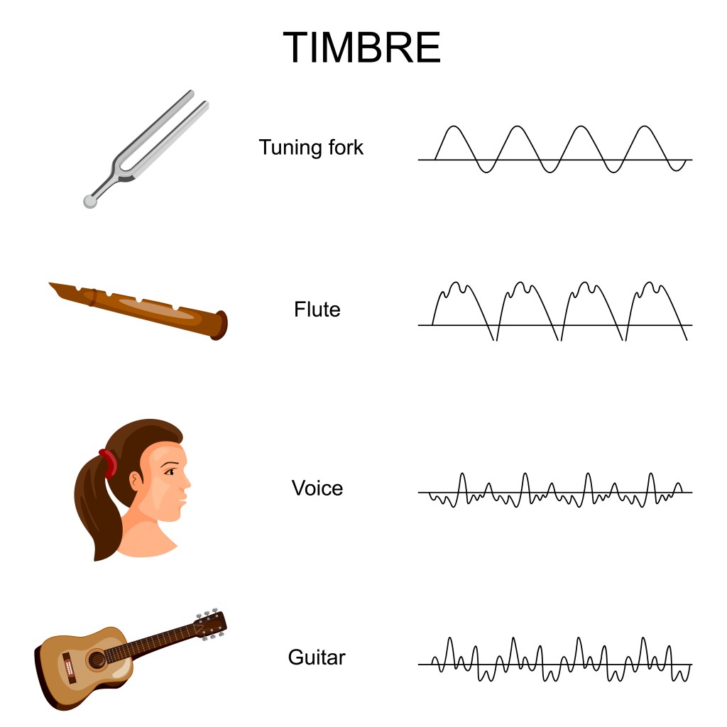 Gráfico de educação de diferente diagrama de timbre de som.  Ilustração vetorial  - Vetor (Vecton) S